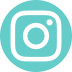 social icon instagram